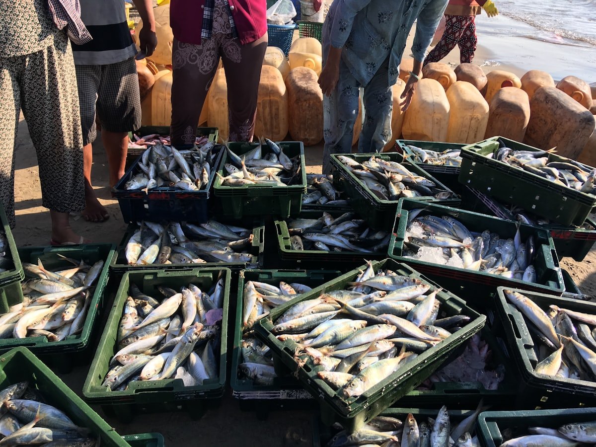 Mariscos abiertos hoy en La Barca